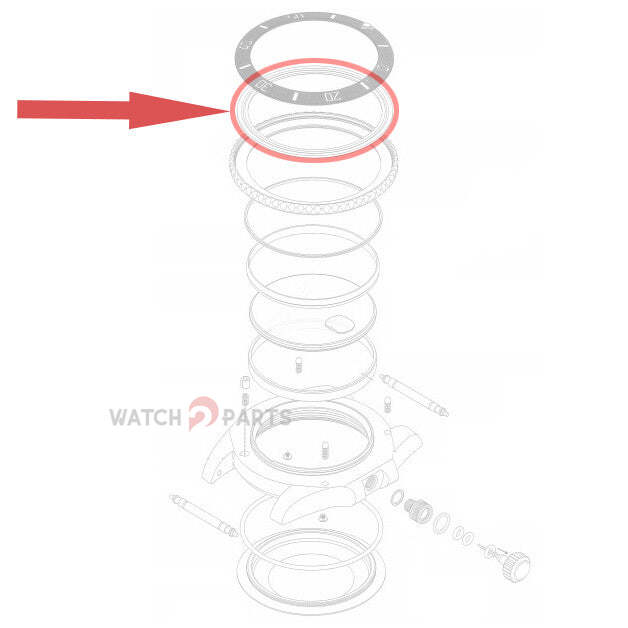Retaing Steel Bezel Insert Ten - Rolex Watch Submariner review and price