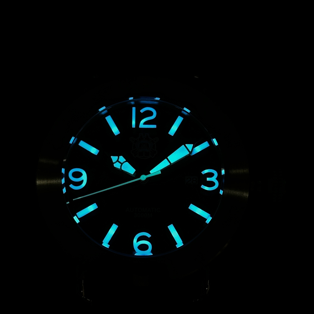 Steeldive 2025 Watch SD1912 Ov - Seiko Watch Prospex review and price