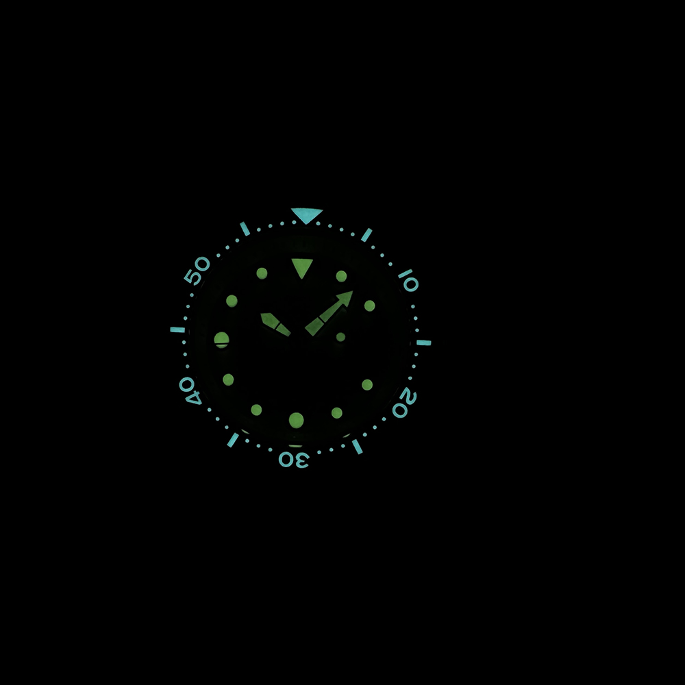 STEELDIVE SD1975 Turquoise Sun - Seiko Watch Prospex review and price