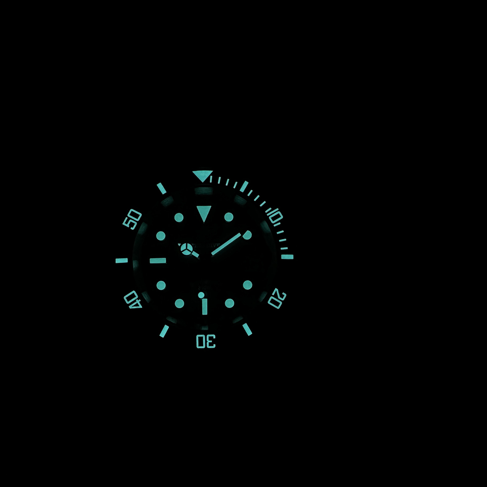 Steeldive New Watch SD1953C Wa - Seiko Watch Prospex review and price